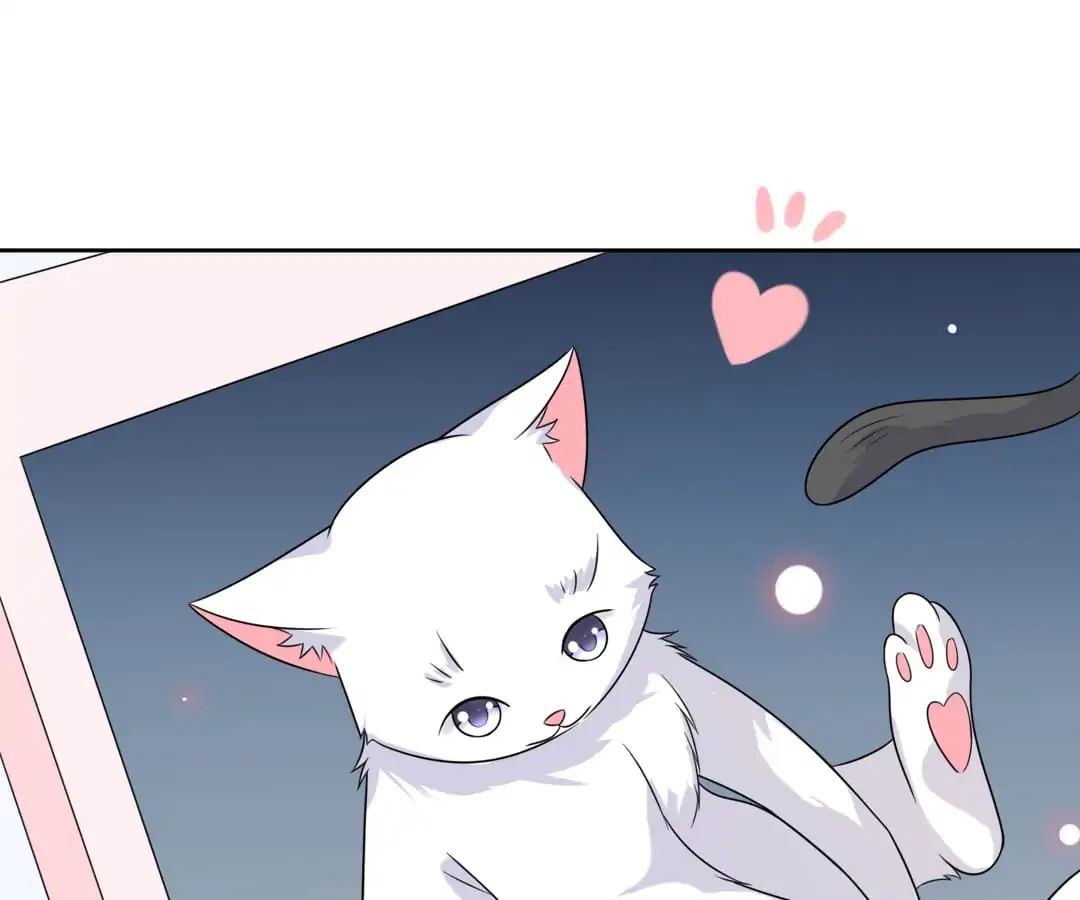 Popular Deskmate Is A Cat - Chapter 3