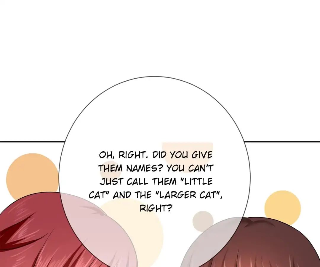 Popular Deskmate Is A Cat - Chapter 3