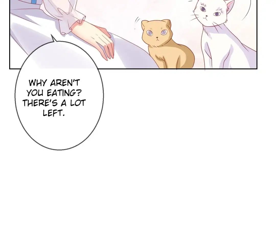 Popular Deskmate Is A Cat - Chapter 70