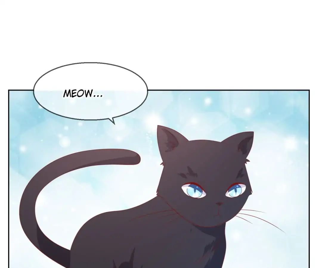 Popular Deskmate Is A Cat - Chapter 70