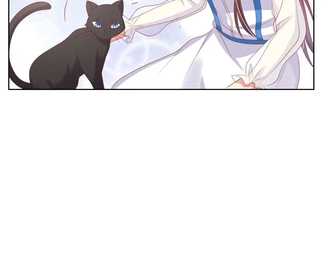 Popular Deskmate Is A Cat - Chapter 70