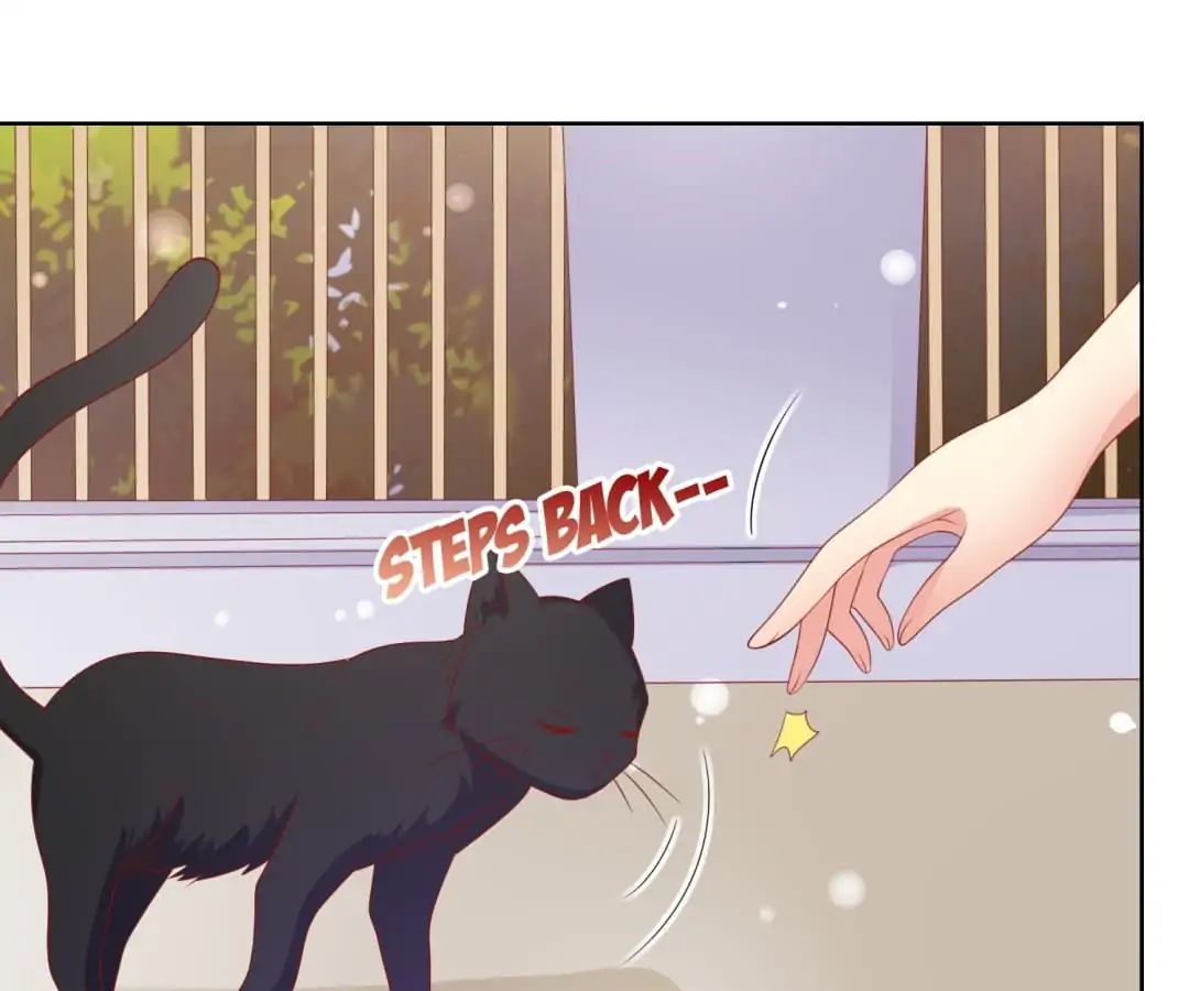 Popular Deskmate Is A Cat - Chapter 70