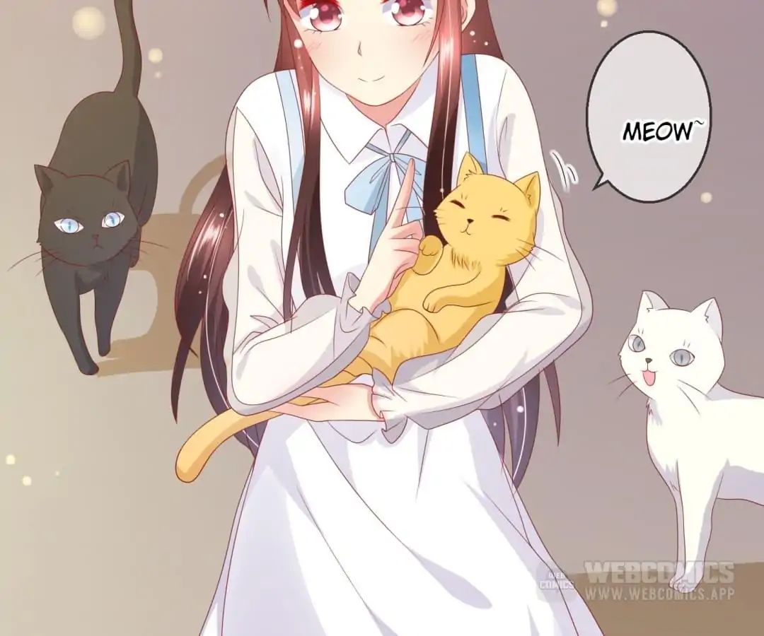 Popular Deskmate Is A Cat - Chapter 70