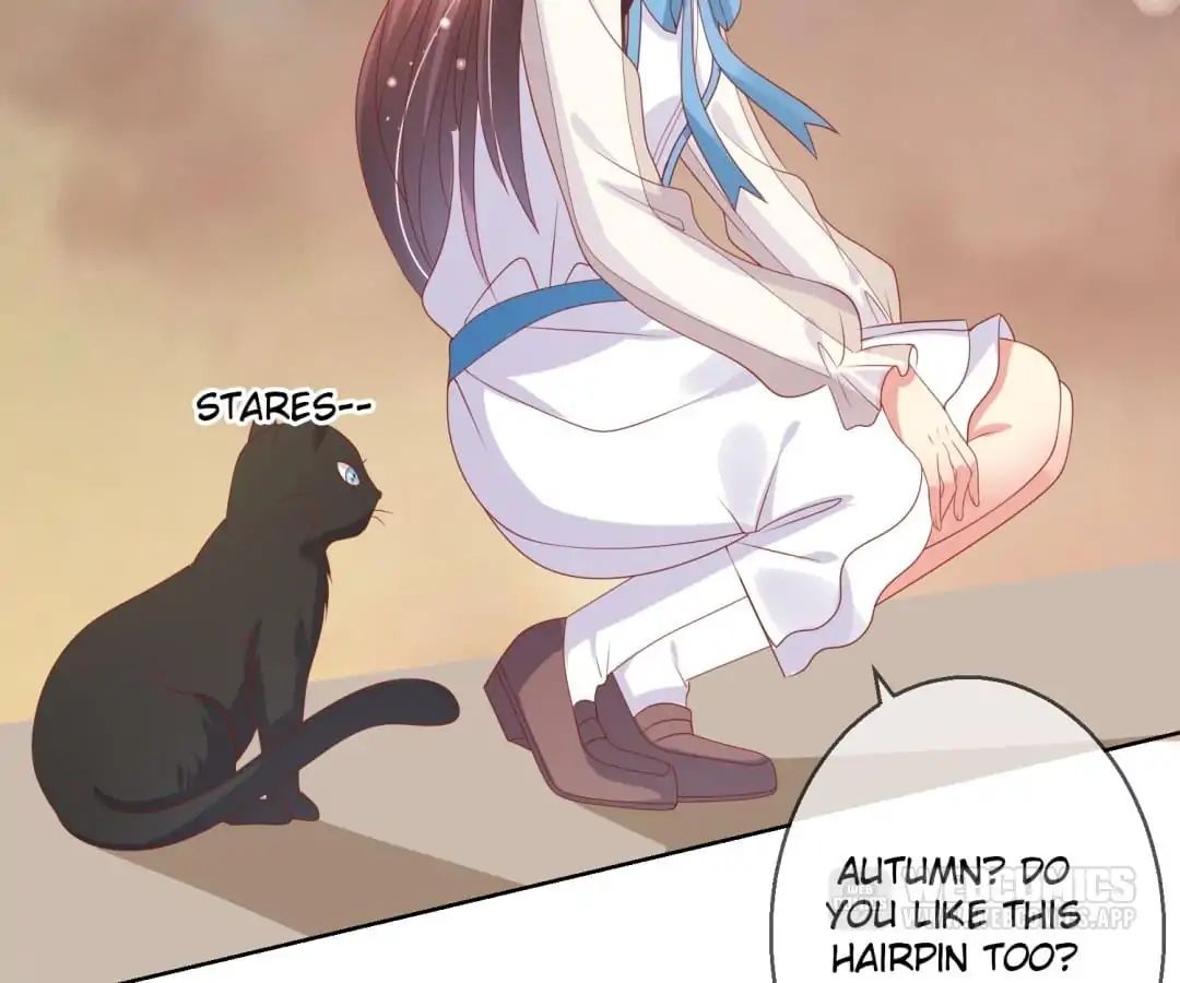 Popular Deskmate Is A Cat - Chapter 70