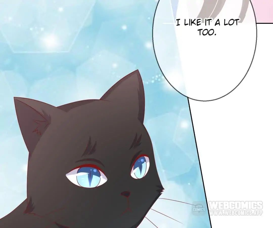 Popular Deskmate Is A Cat - Chapter 70