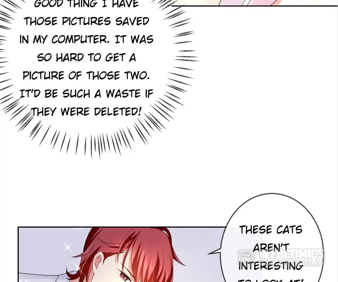 Popular Deskmate Is A Cat - Chapter 15