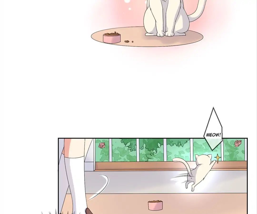 Popular Deskmate Is A Cat - Chapter 21