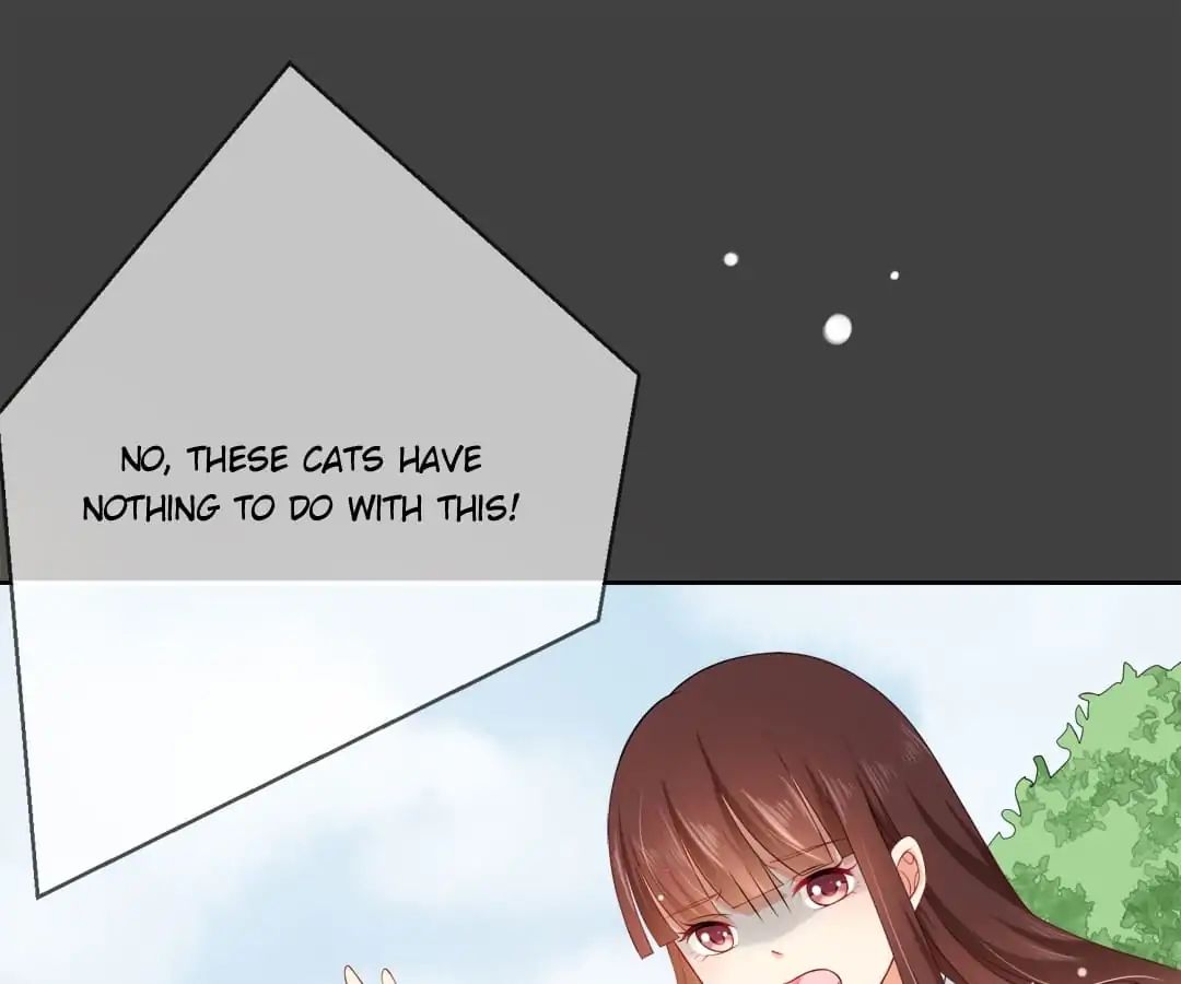 Popular Deskmate Is A Cat - Chapter 7