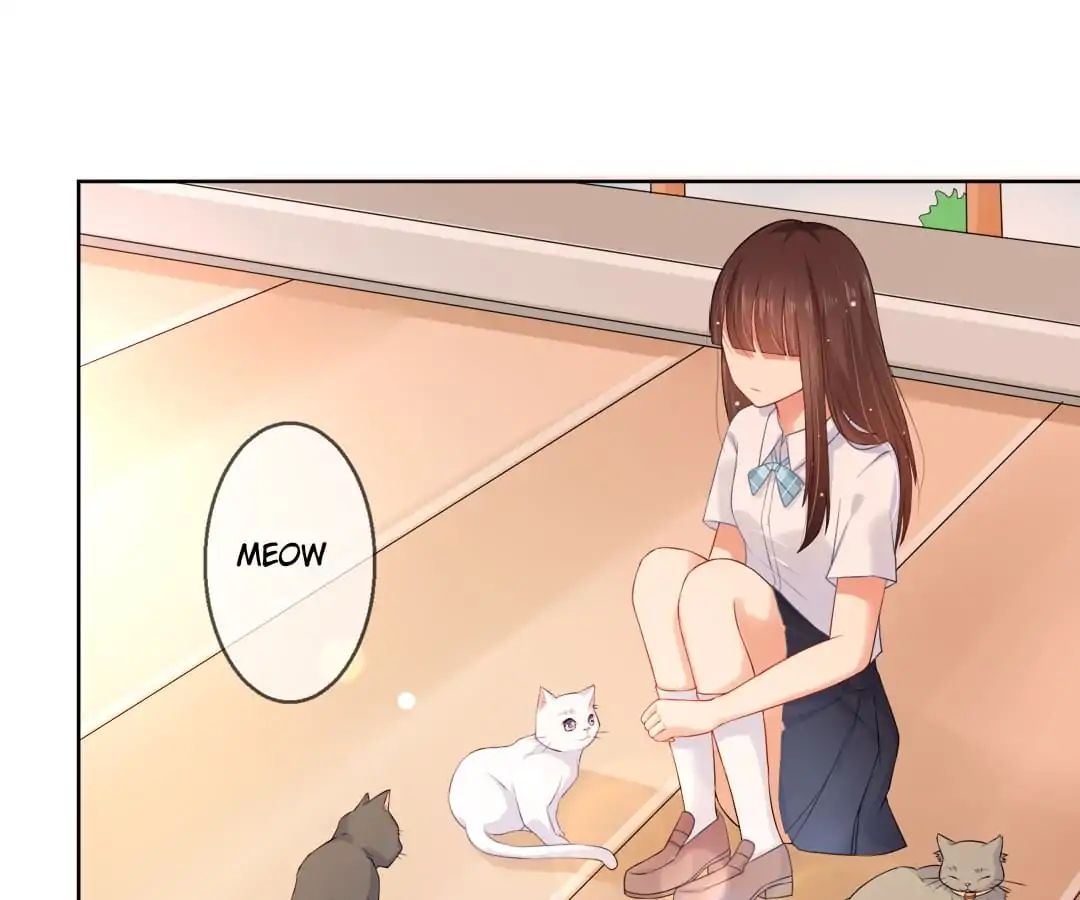 Popular Deskmate Is A Cat - Chapter 5