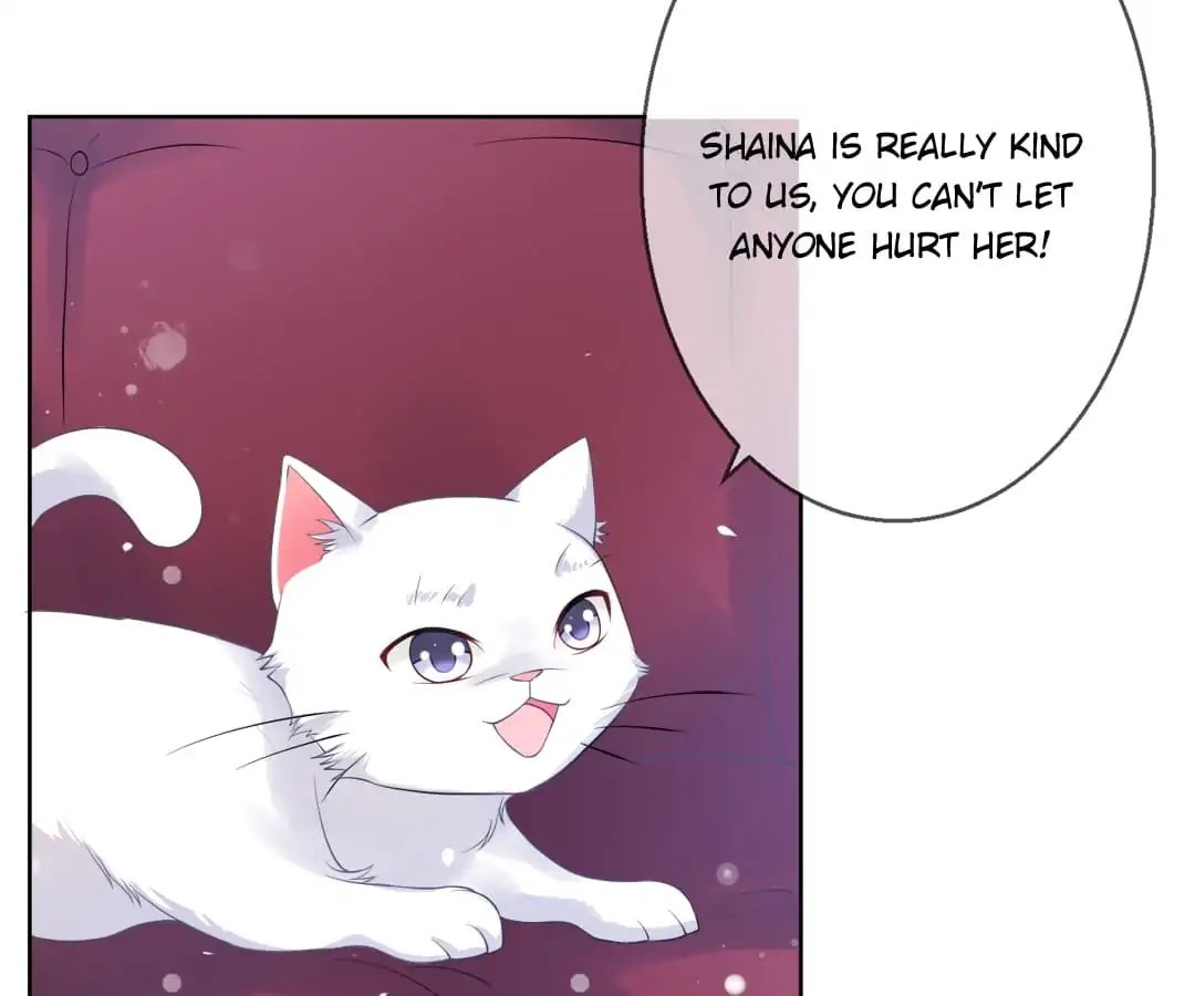 Popular Deskmate Is A Cat - Chapter 5