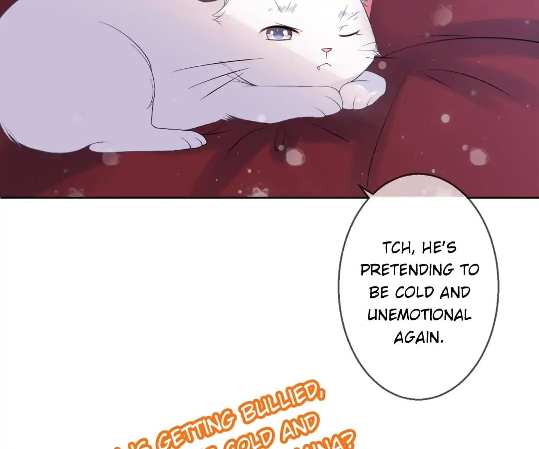 Popular Deskmate Is A Cat - Chapter 5