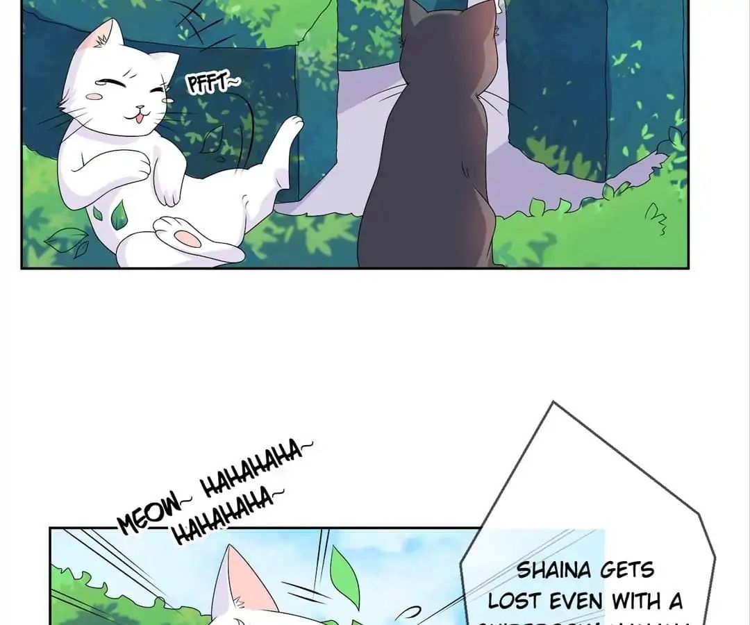 Popular Deskmate Is A Cat - Chapter 36