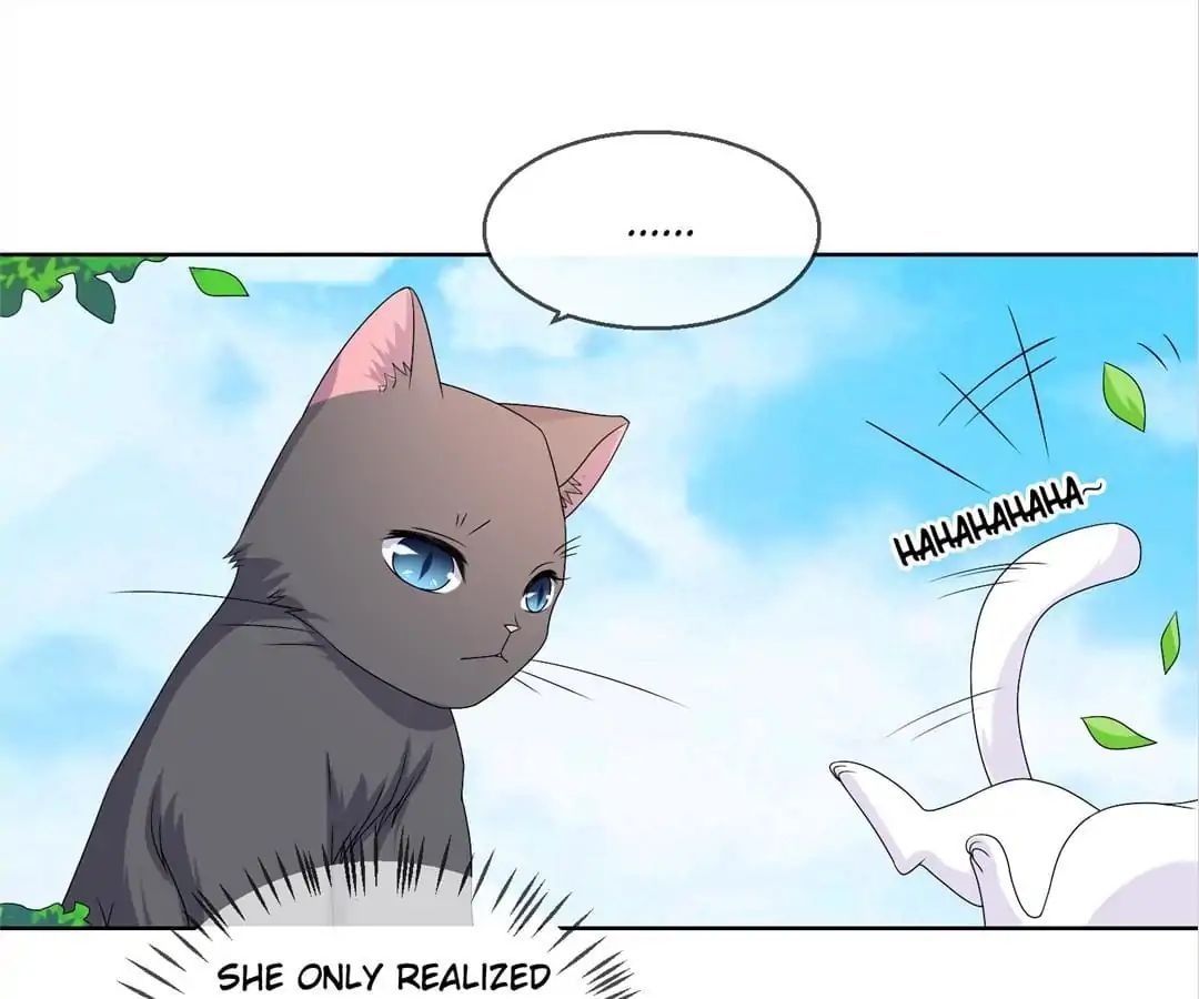 Popular Deskmate Is A Cat - Chapter 36