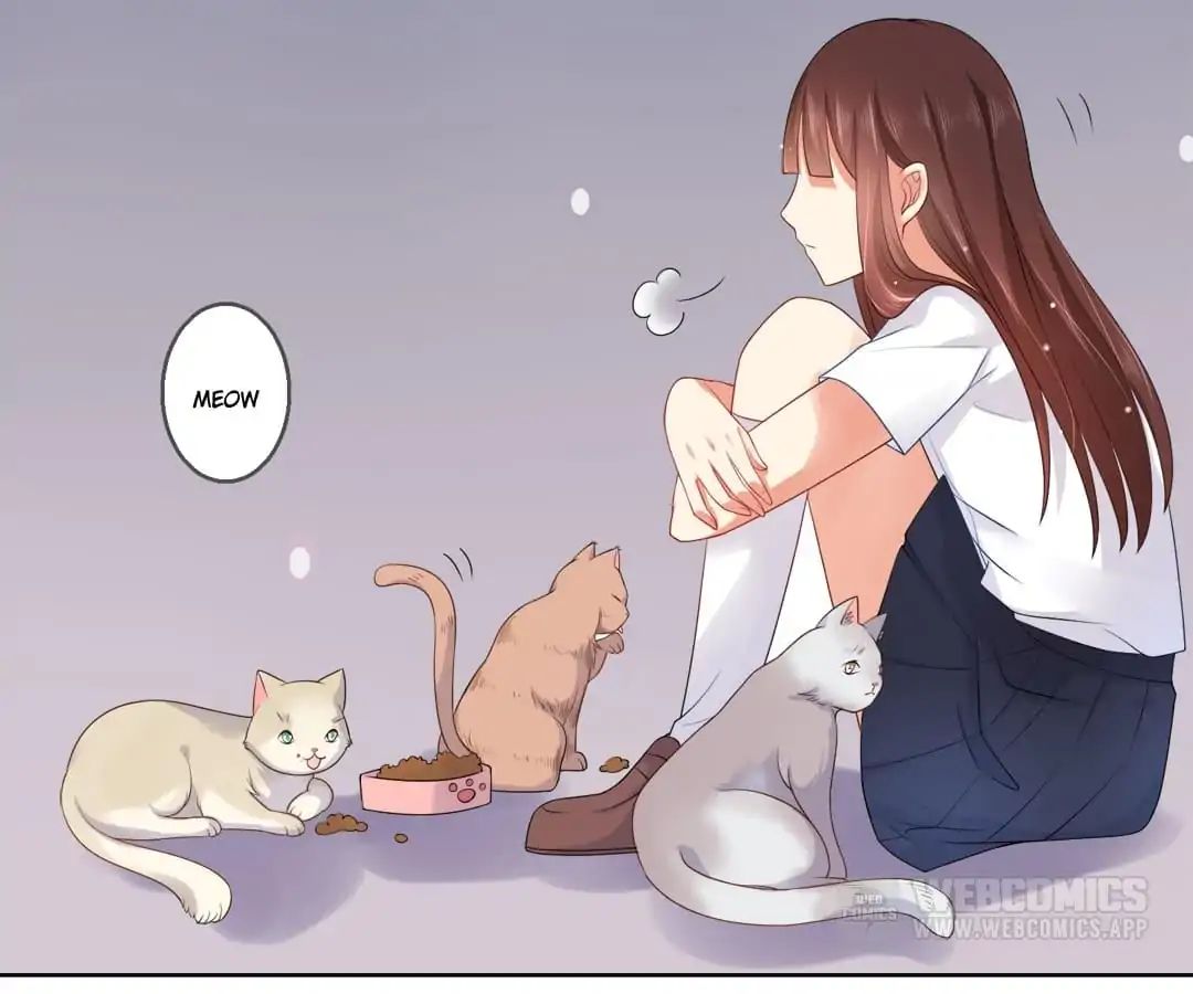 Popular Deskmate Is A Cat - Chapter 8