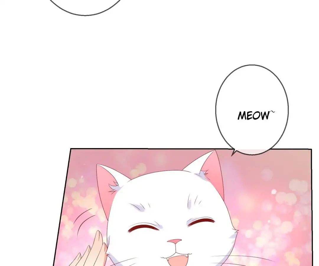 Popular Deskmate Is A Cat - Chapter 47