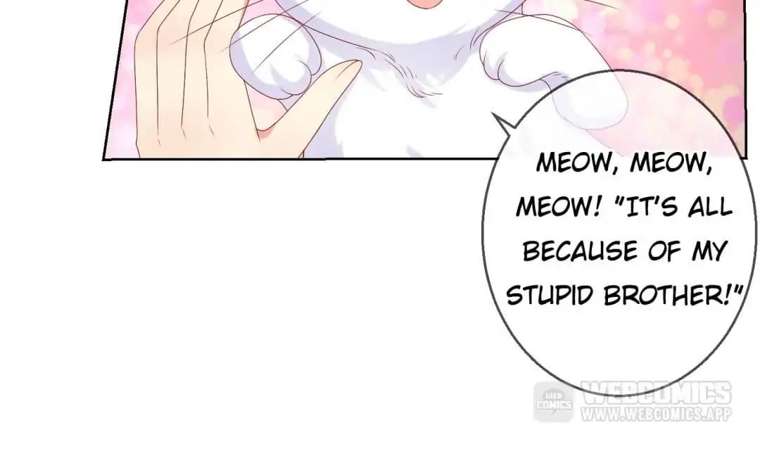 Popular Deskmate Is A Cat - Chapter 47