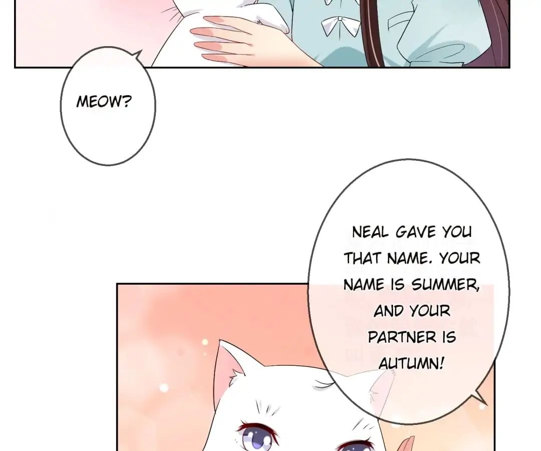 Popular Deskmate Is A Cat - Chapter 20