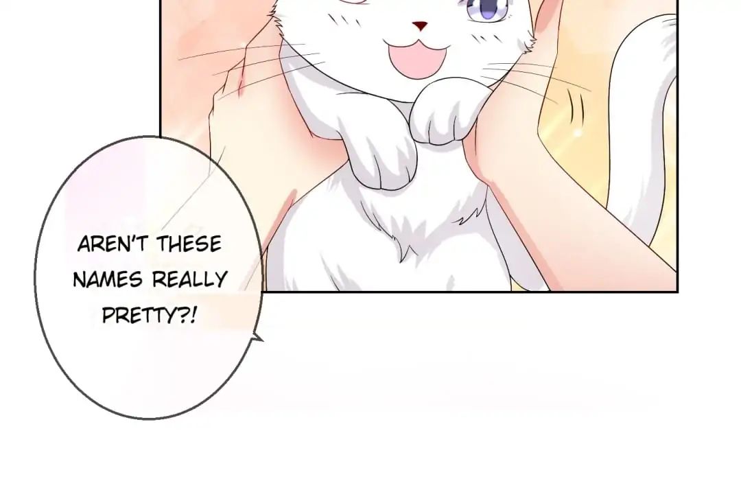 Popular Deskmate Is A Cat - Chapter 20