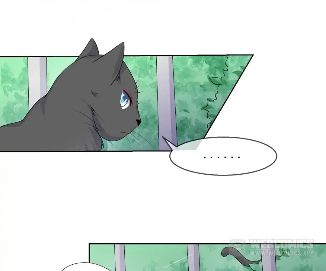 Popular Deskmate Is A Cat - Chapter 20