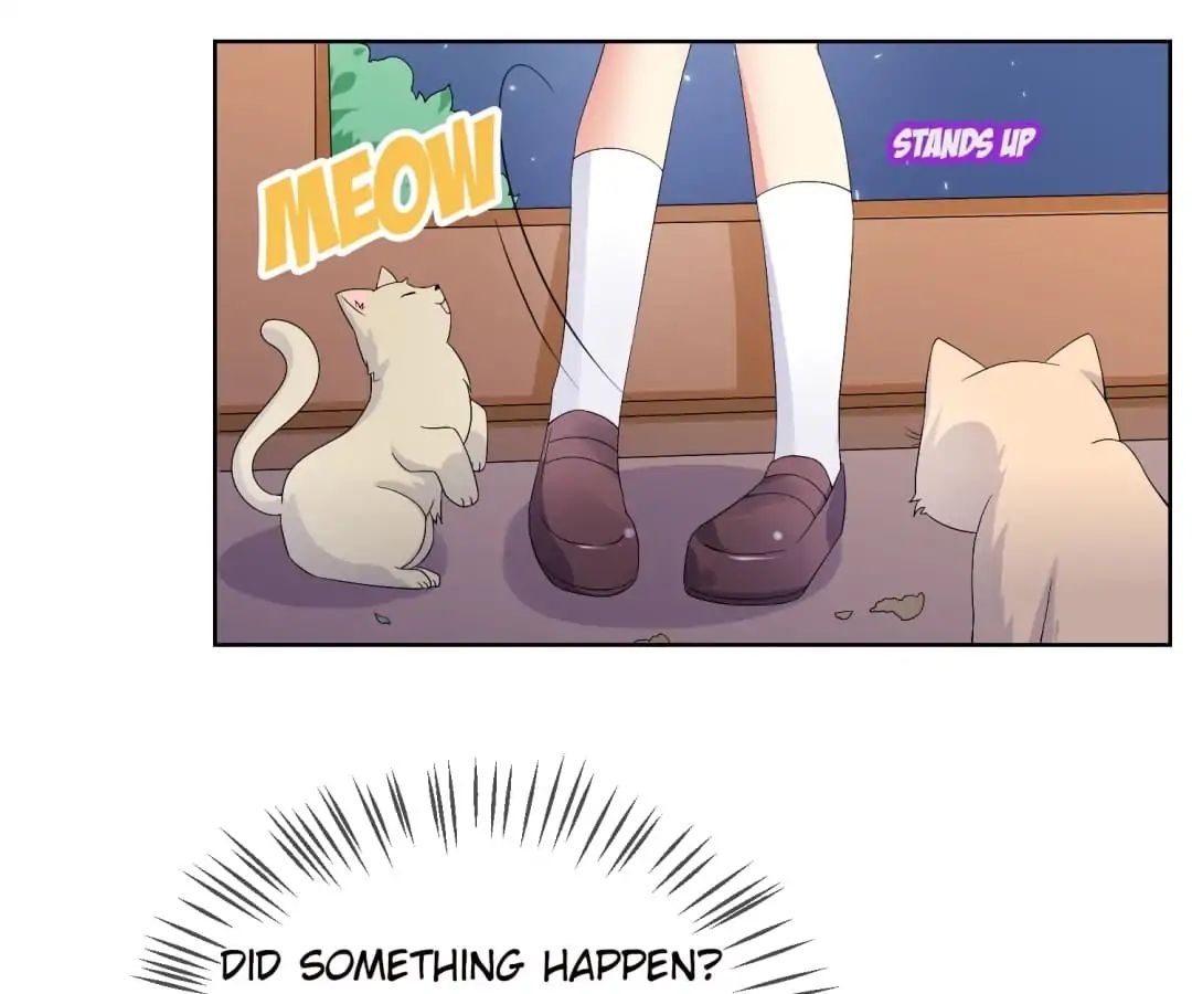 Popular Deskmate Is A Cat - Chapter 20