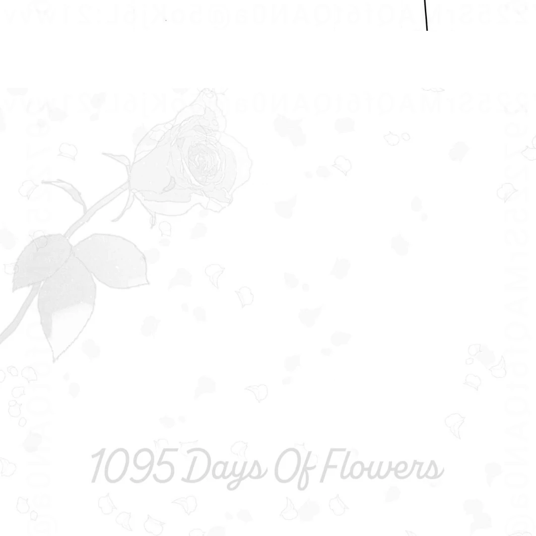 1095 Days of Flowers - Chapter 2