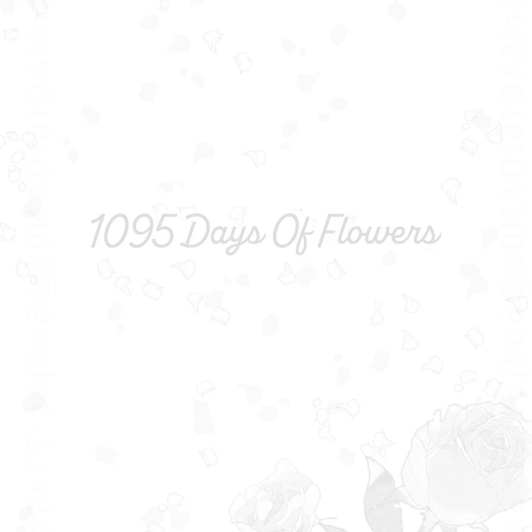 1095 Days of Flowers - Chapter 3