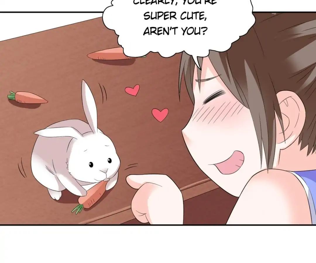 Ceo's Perfect Match - Chapter 21: Fat Rabbit