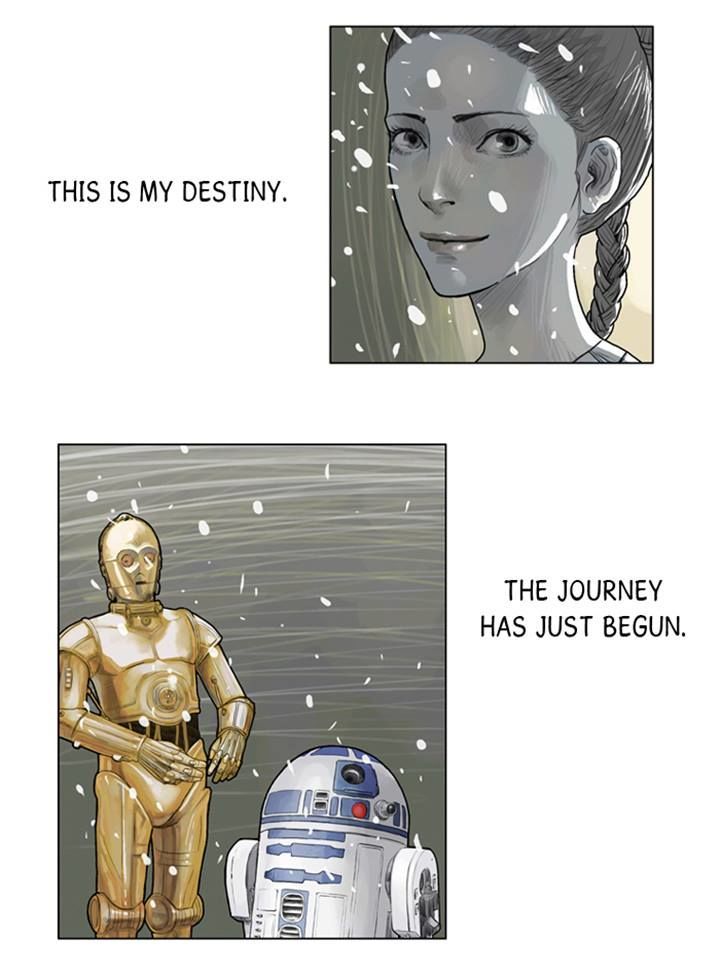 Star Wars - Chapter 14