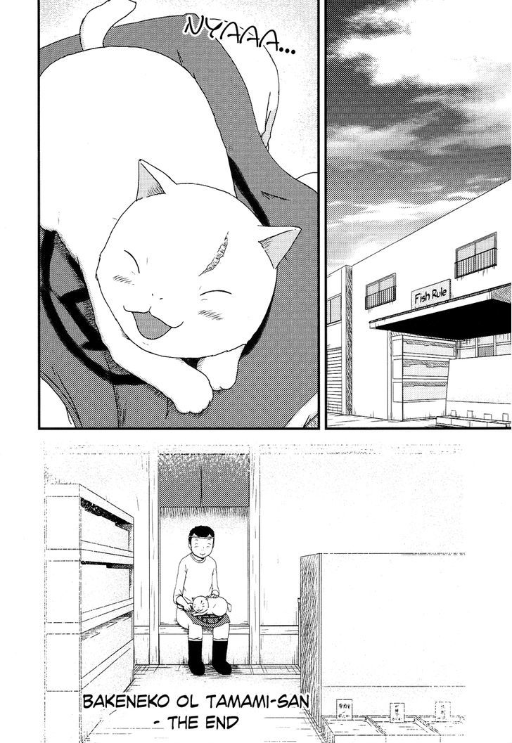 Bakeneko Ol Tamami-San - Omoi Tsuzukete Nanadaime - Vol.1 Chapter 14 : That S Not How It Was, Nyaa... [End]