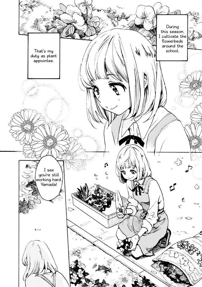 Asagao To Kase-San. - Chapter 17 : Tulips And Kase-San