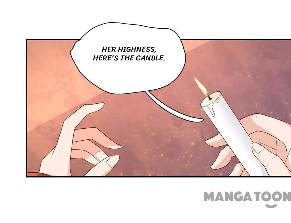 Princess’s Happily-Ever-After Marriage - Chapter 62