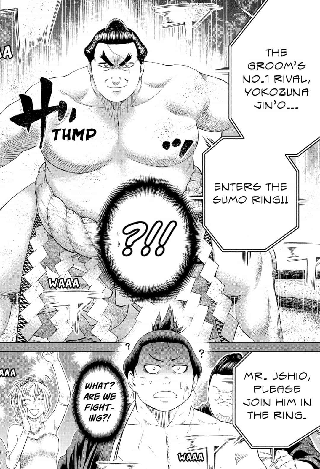 Hinomaru Zumou - Chapter 250.5: Epilogue