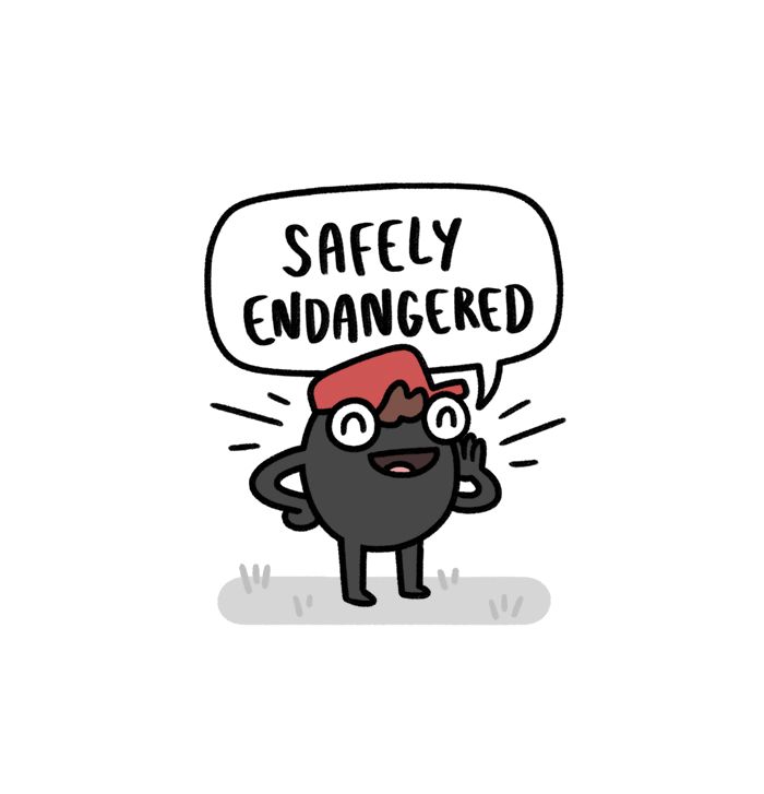 Safely Endangered - Chapter 365 : "Working From Home "