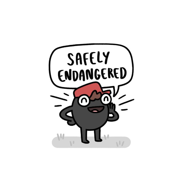 Safely Endangered - Chapter 387 : Inspiration