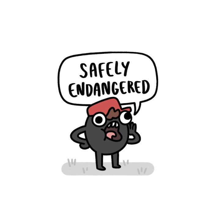 Safely Endangered - Vol.2 Chapter 139