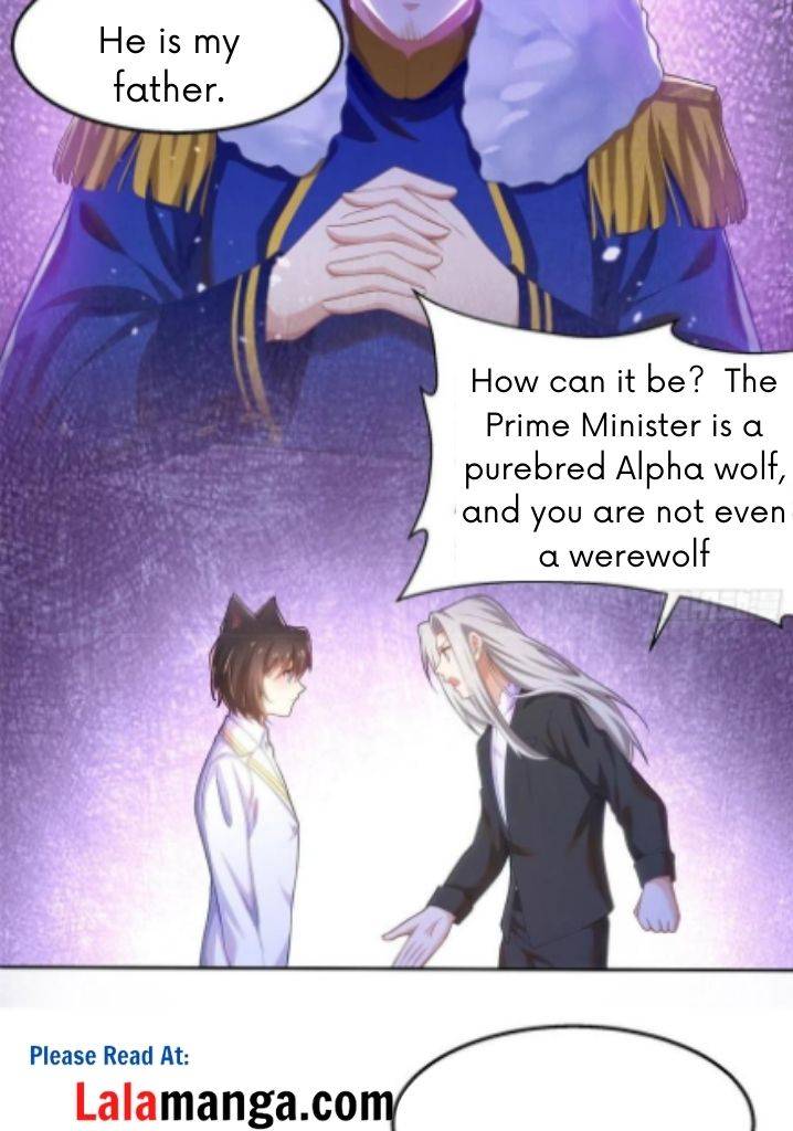 The Wolf Marshal's Double Doting - Chapter 33