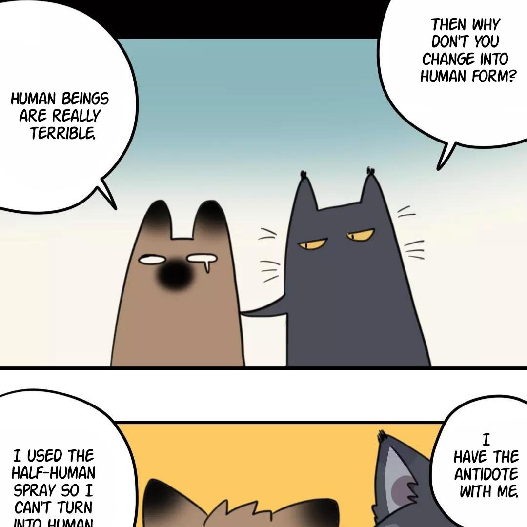 Catman And Dogman - Chapter 137