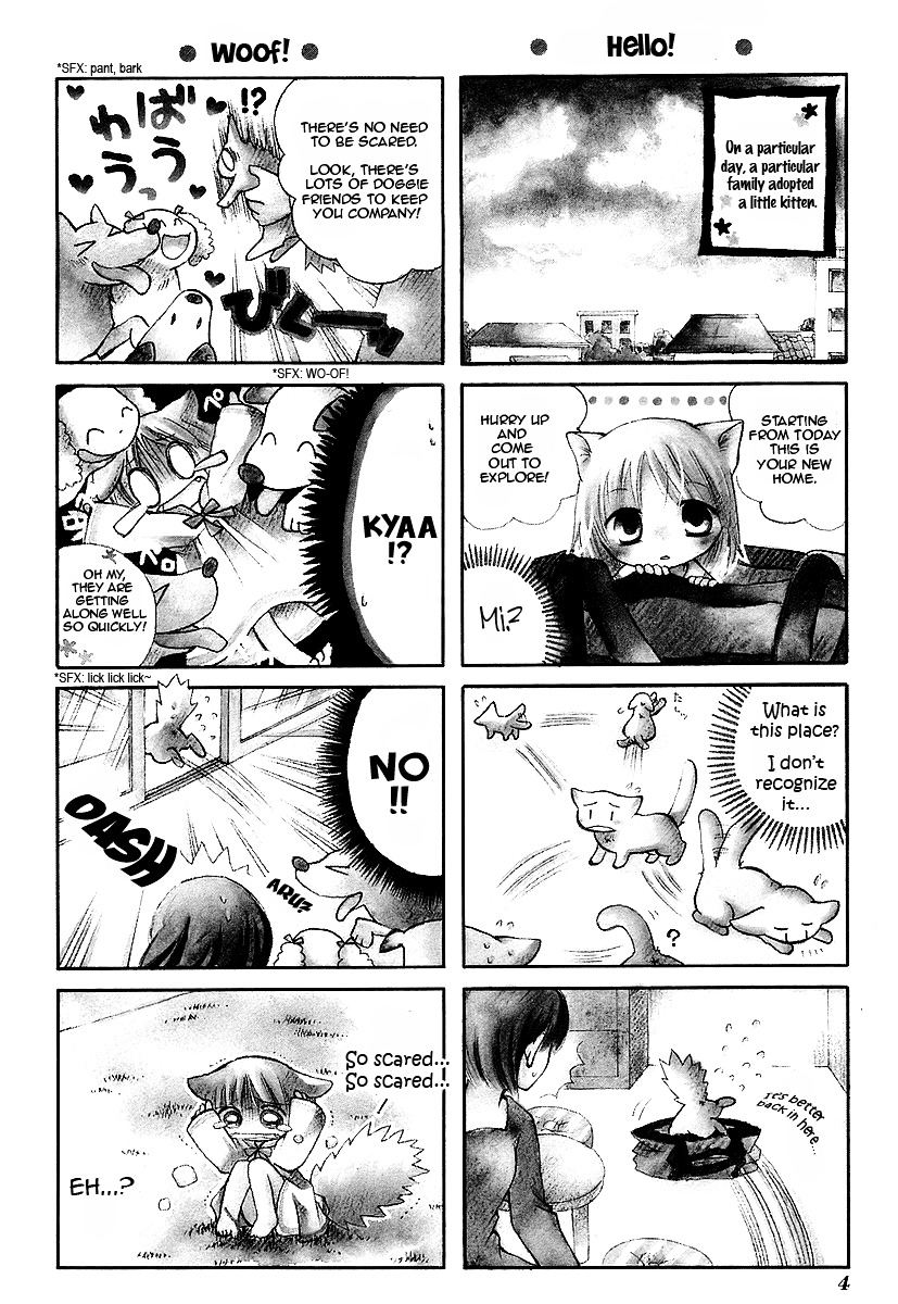 Chokotto Hime - Vol.1 Chapter 1 : Little Kitten Who's Frightened Of Life