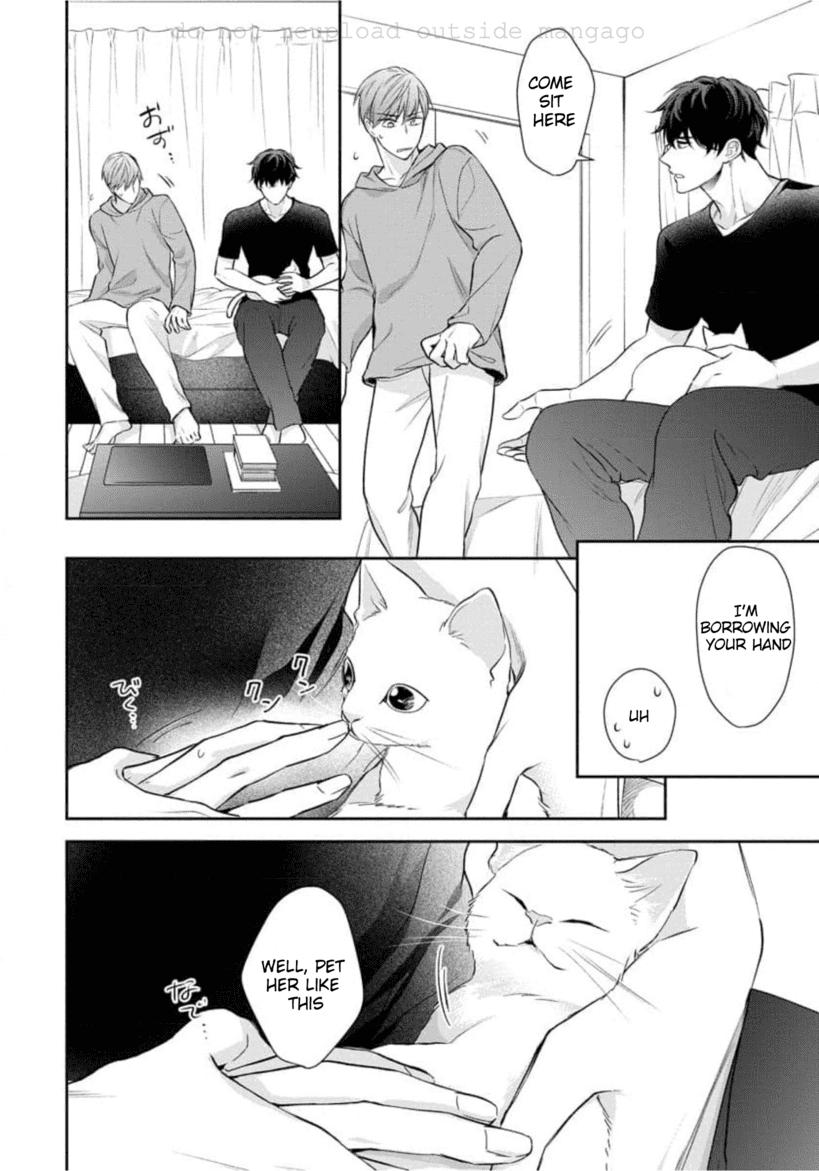 Keiyaku Cohabitation - Chapter 2