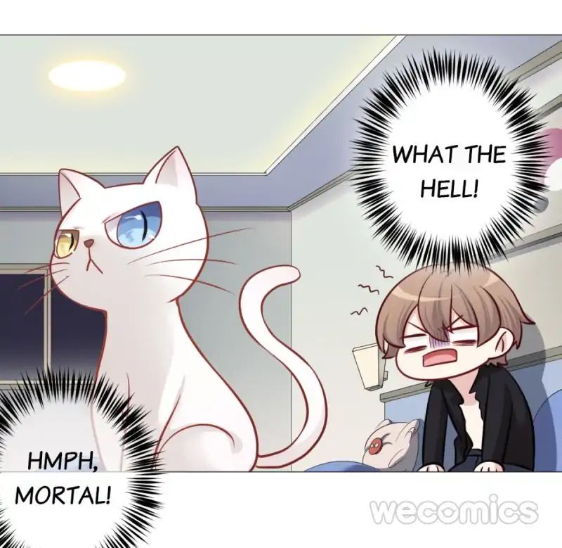 Cat & Sword - Chapter 6