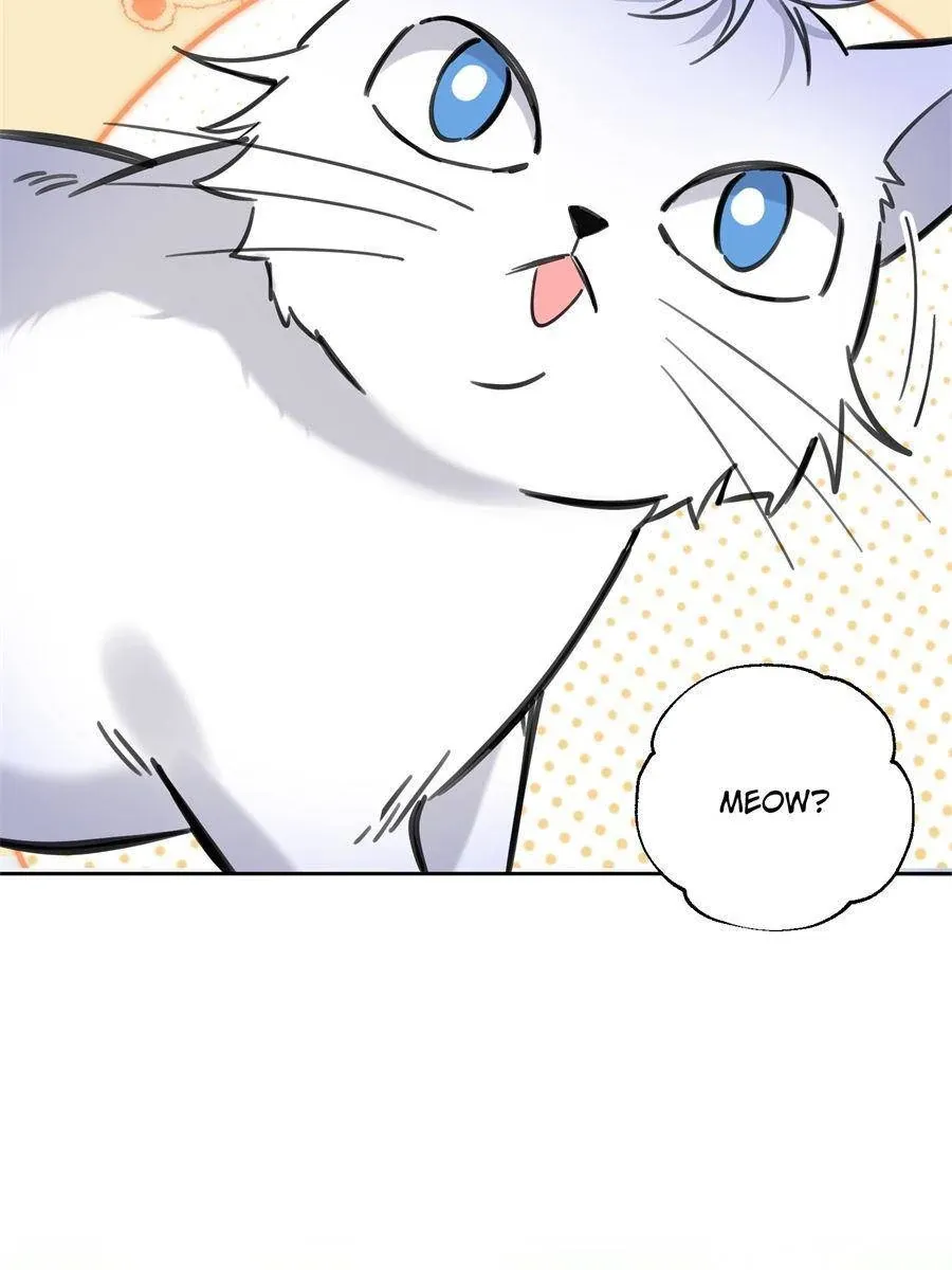 I Have To Work Hard As A Cat Today - Chapter 104