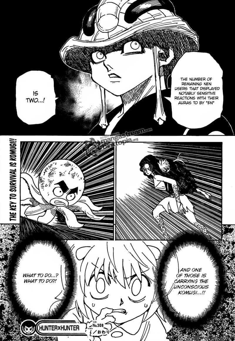 Hunter X Hunter - Chapter 308 : Flash