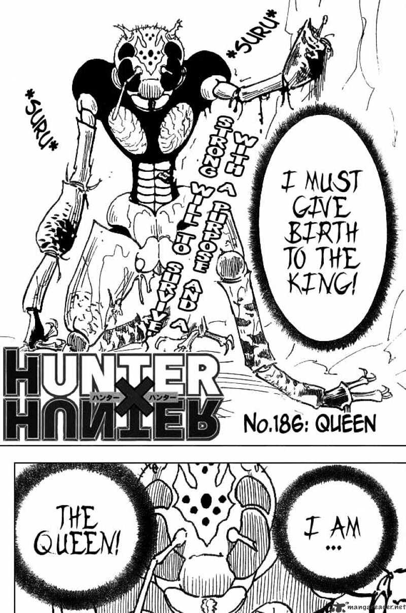 Hunter X Hunter - Chapter 186 : Queen