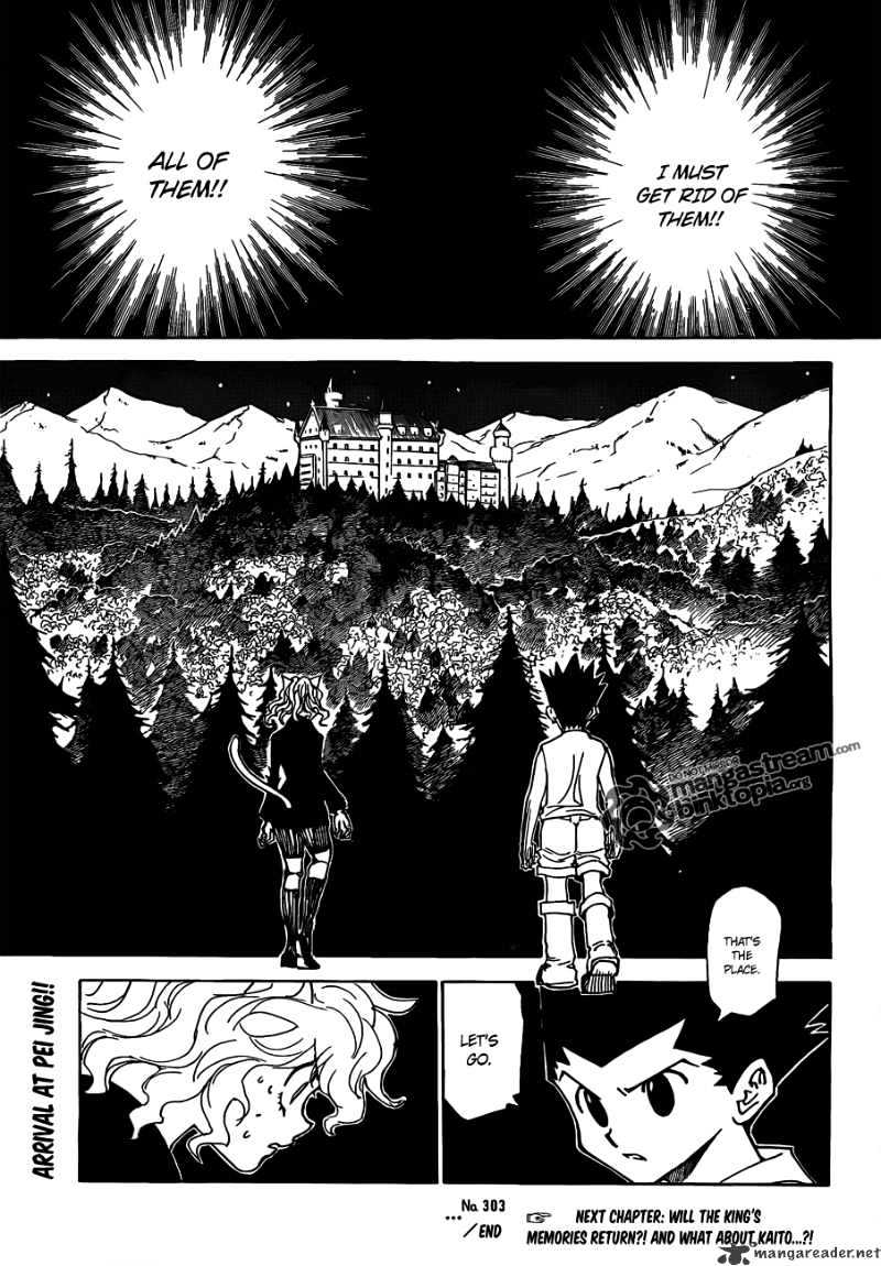 Hunter X Hunter - Chapter 303 : Pain