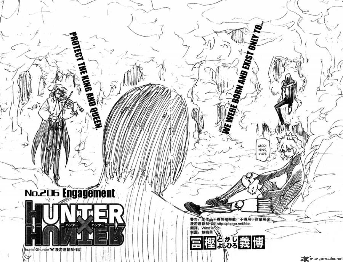 Hunter X Hunter - Chapter 206 : Victory Or Defeat