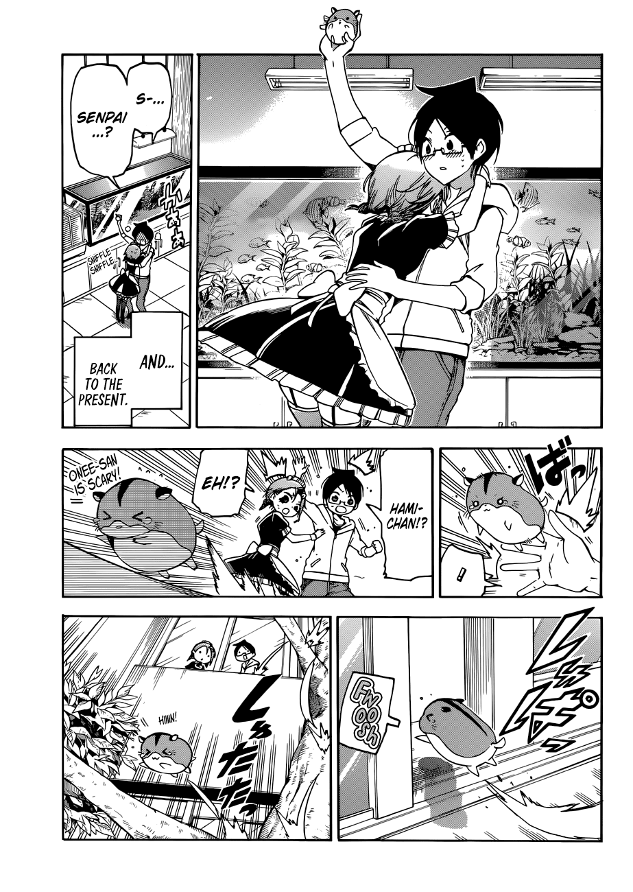 Bokutachi Wa Benkyou Ga Dekinai - Chapter 71