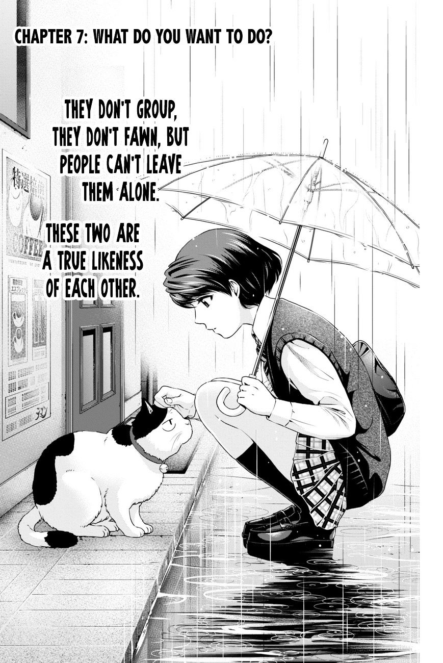 Domestic Na Kanojo - Chapter 7 : What Do You Want To Do?