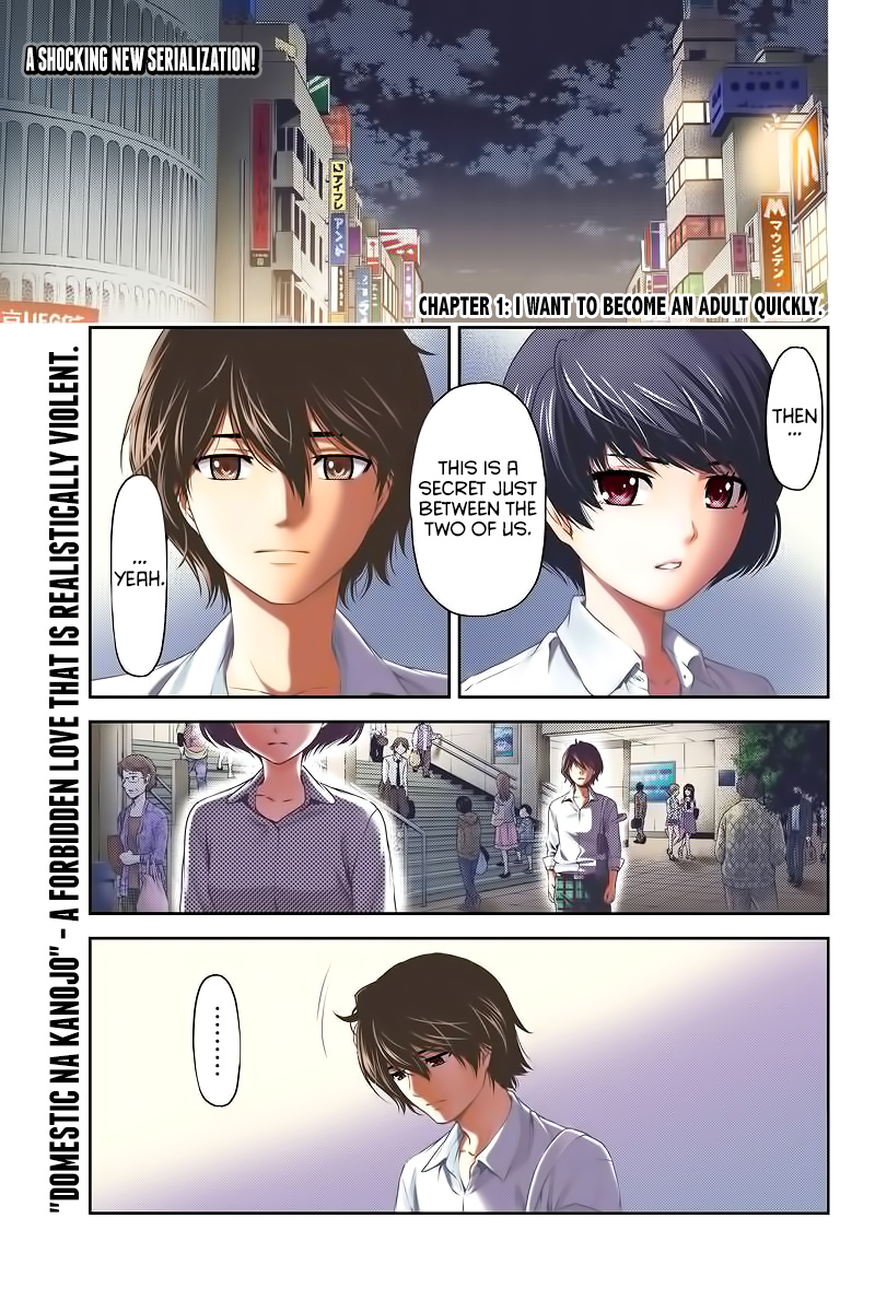 Domestic Na Kanojo - Chapter 248: A New Job