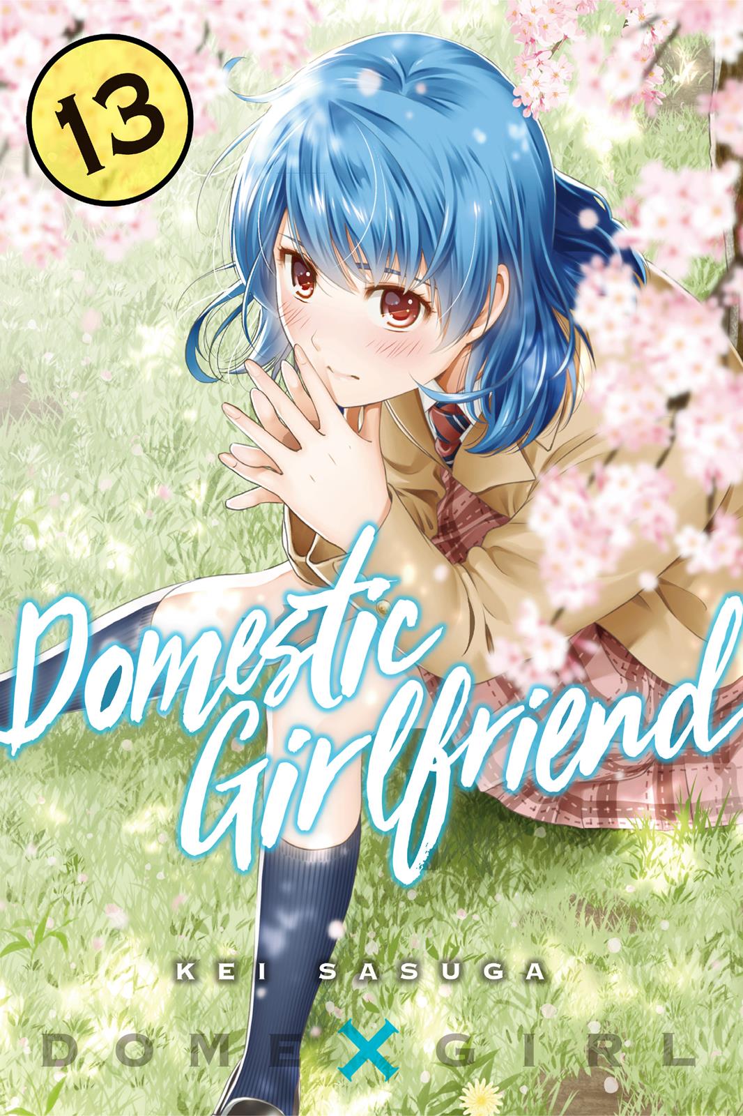 Domestic Na Kanojo - Vol.17 Chapter 115