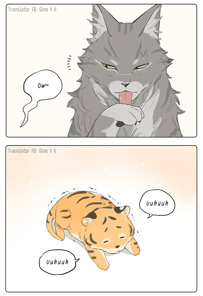 The Wolf That Picked Something Up - Chapter 34: If They Were Feline